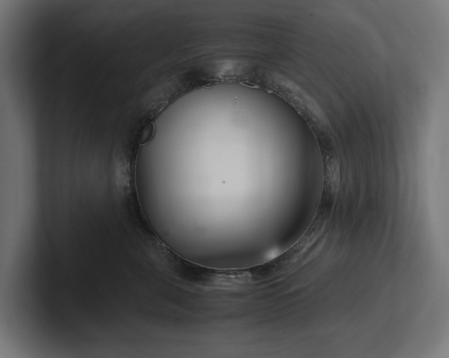 X0000102300571200808011405