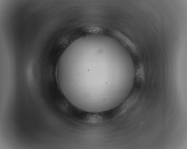 X0000102300572200808011405