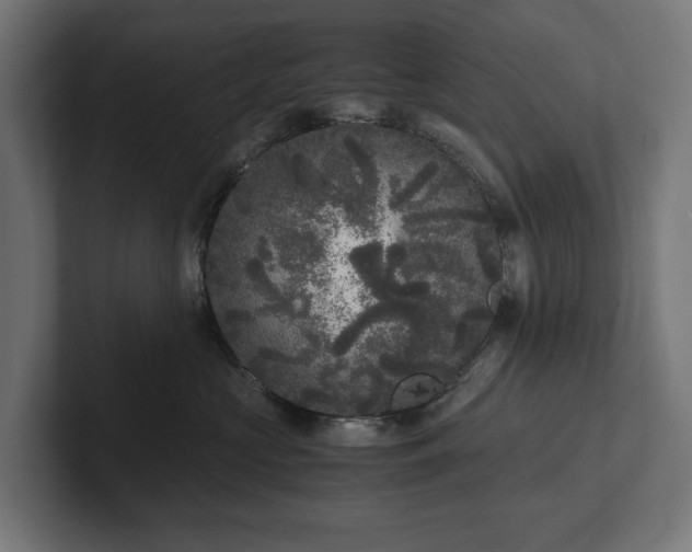 X0000102300573200808011405