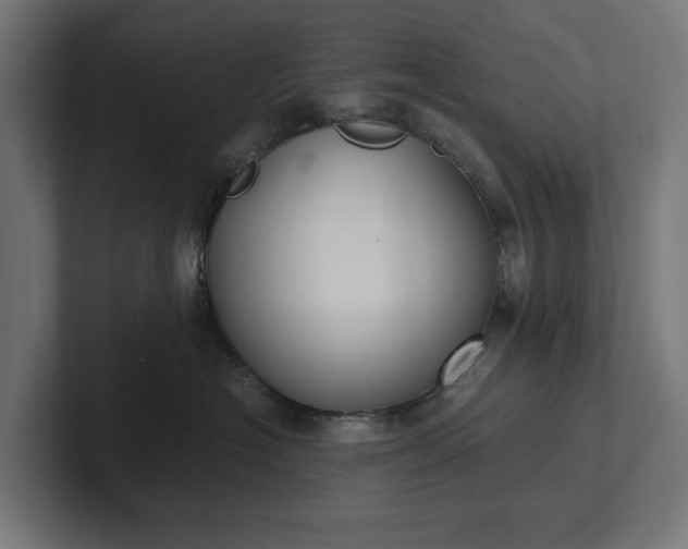 X0000102300574200808011405