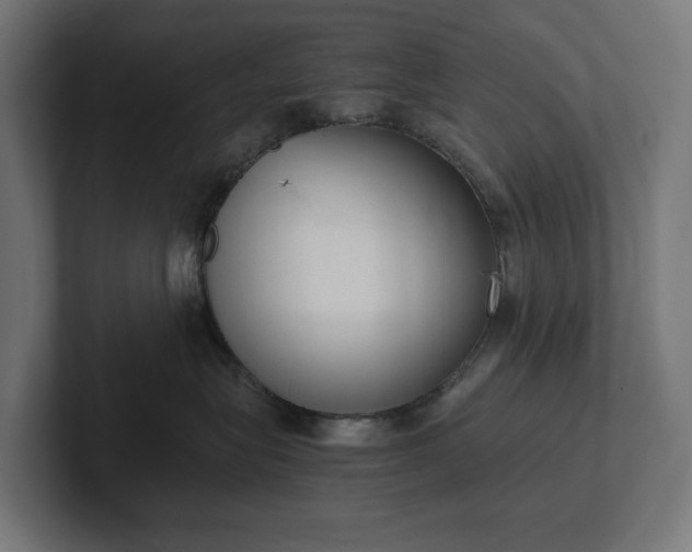 X0000102300575200808011405