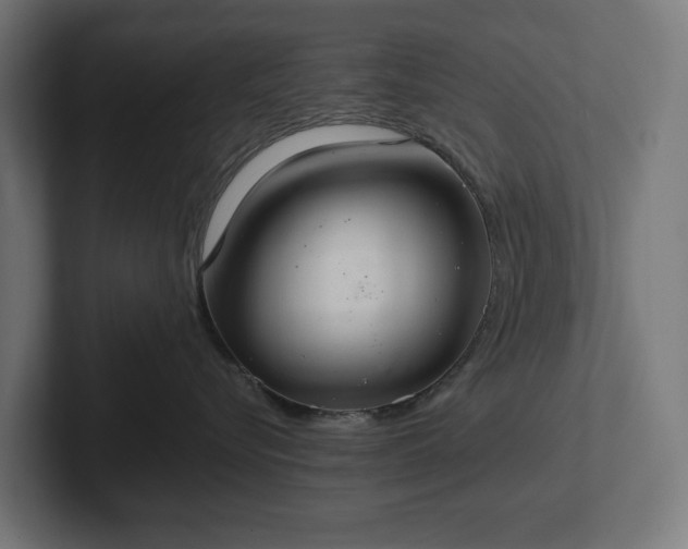 X0000102300576200808011405