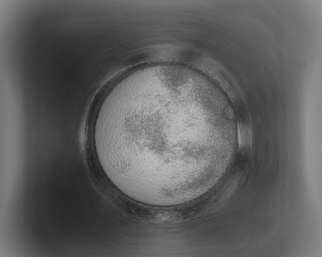 X0000102300579200808011404