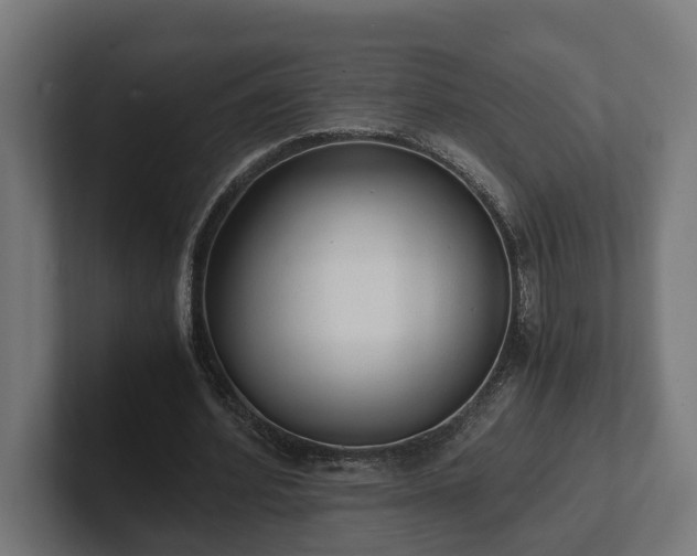 X0000102300580200808011404