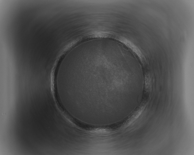 X0000102300581200808011404