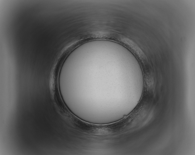 X0000102300583200808011404