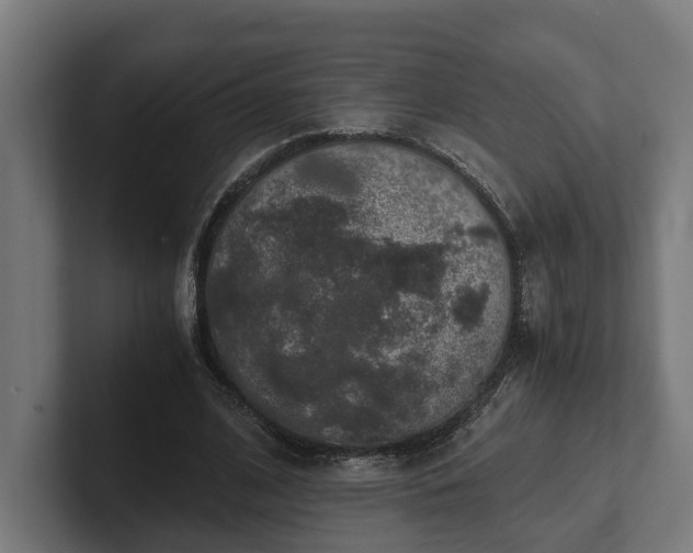 X0000102300584200808011404