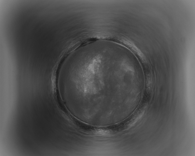 X0000102300585200808011404