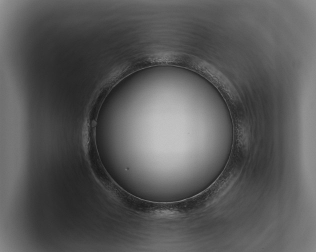 X0000102300586200808011404