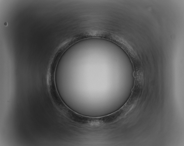 X0000102300587200808011404