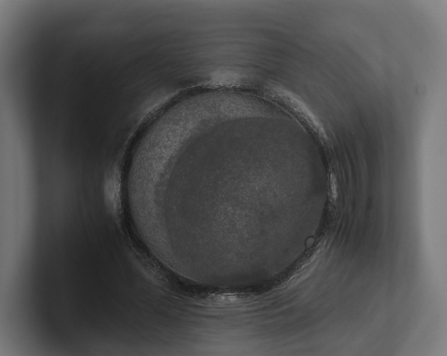 X0000102300588200808011404