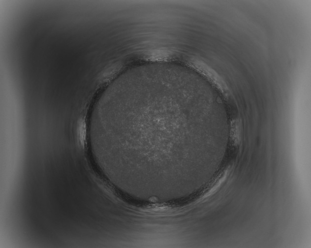 X0000102300589200808011404