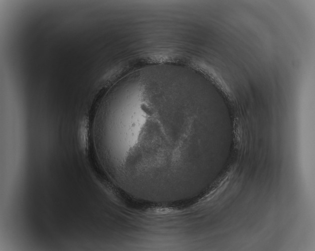 X0000102300590200808011404