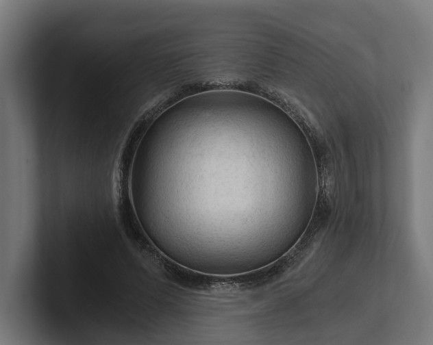 X0000102300591200808011404