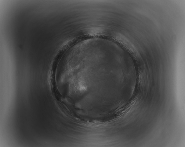 X0000102300592200808011404