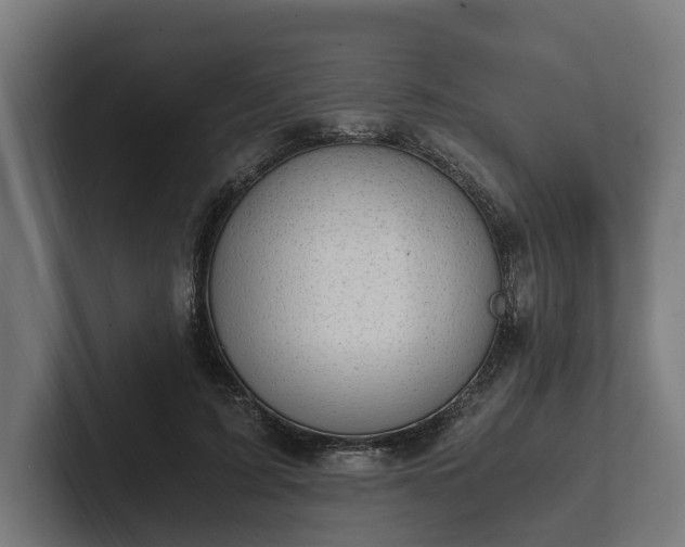 X0000102300595200808011404