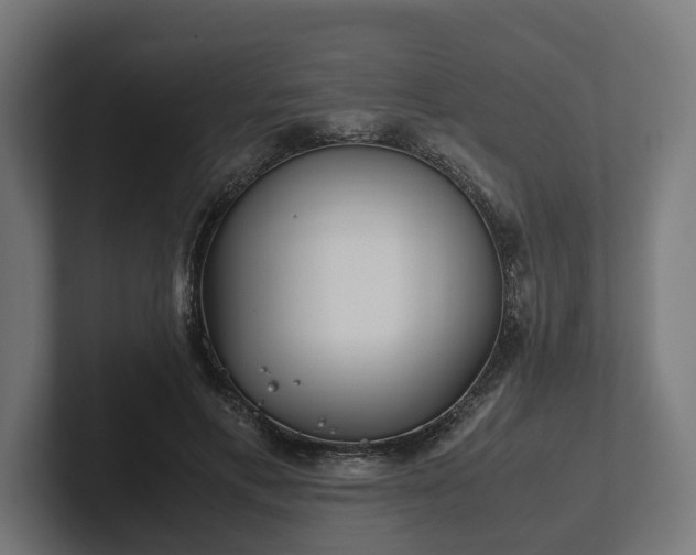 X0000102300597200808011404