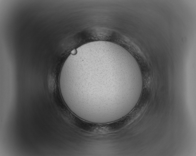 X0000102300599200808011404