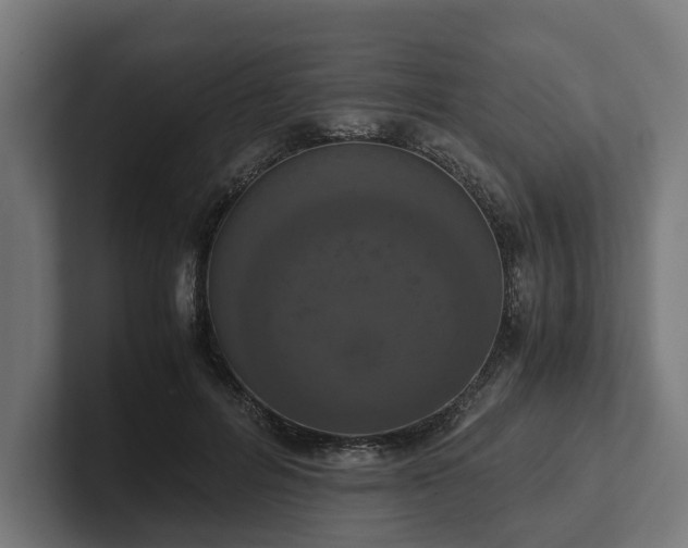 X0000102300600200808011404