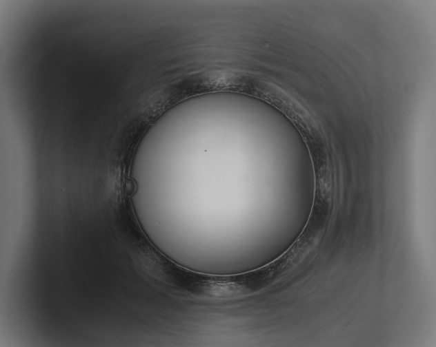 X0000102300605200808011404