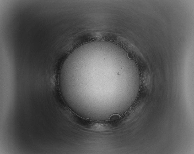 X0000102300611200808011404