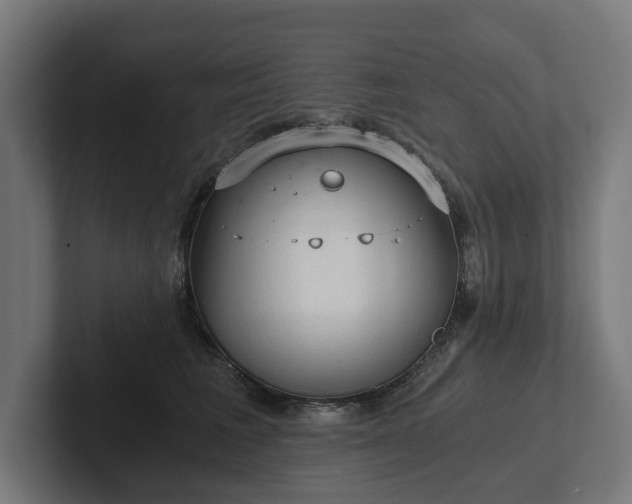 X0000102300613200808011404