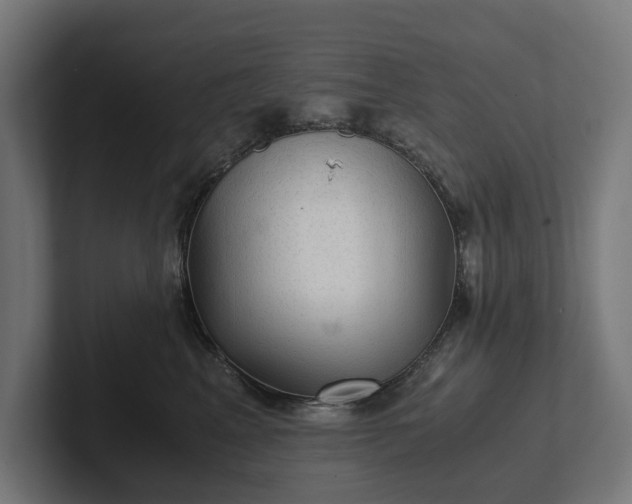 X0000102300617200808011404