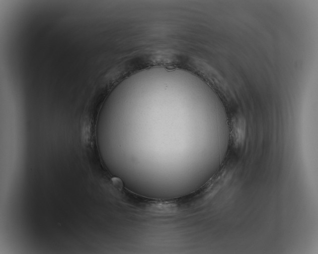 X0000102300619200808011404