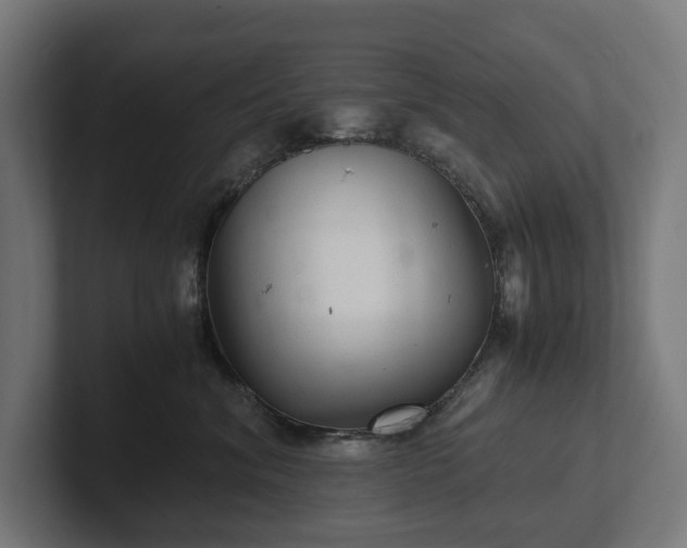 X0000102300620200808011404