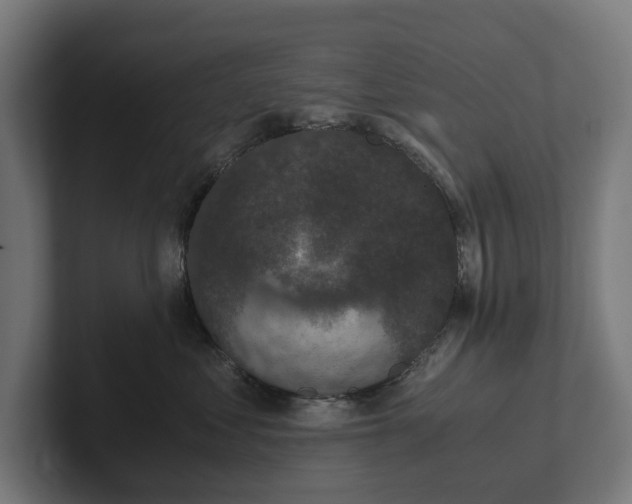 X0000102300621200808011404