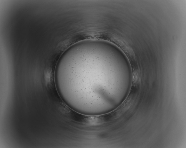 X0000102300623200808011404