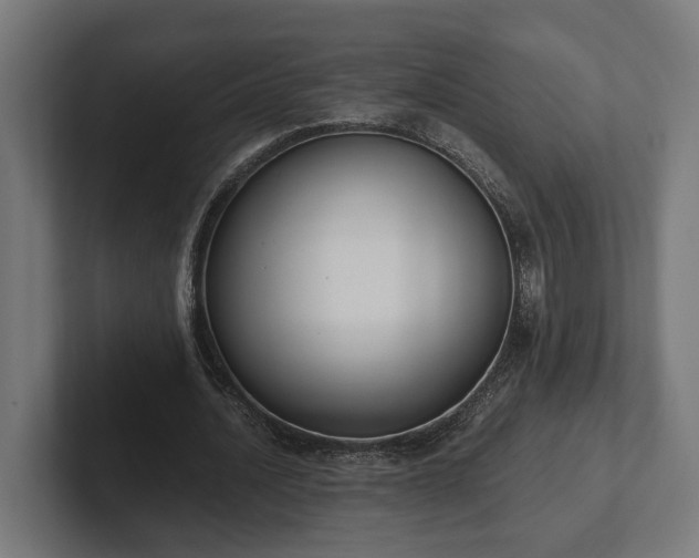 X0000102300628200808011403