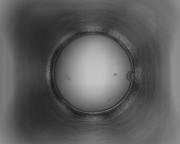 X0000102300629200808011403