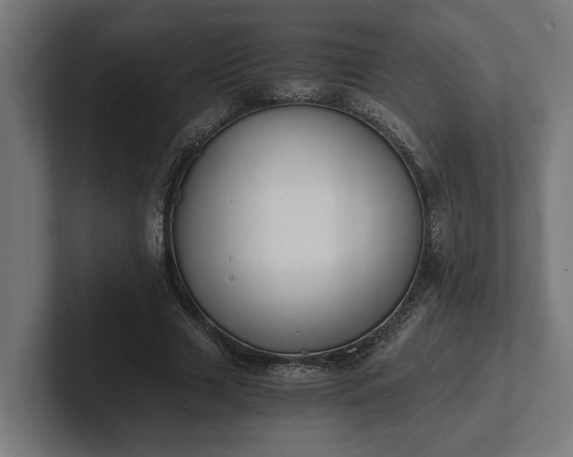 X0000102300633200808011403