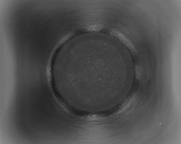 X0000102300634200808011403