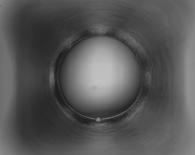 X0000102300638200808011403