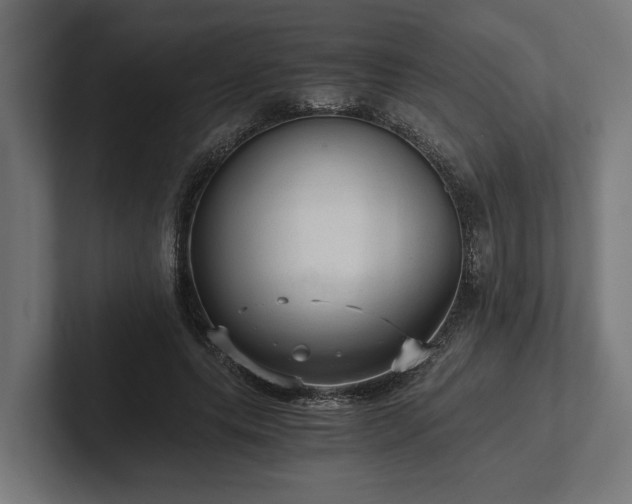 X0000102300639200808011403