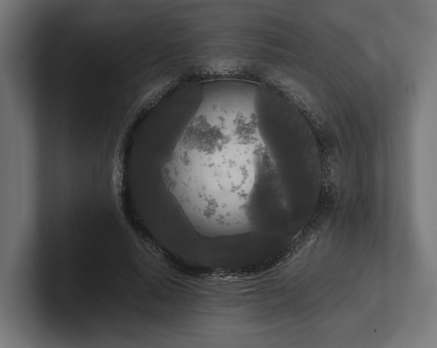 X0000102300640200808011403