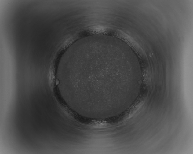 X0000102300642200808011403