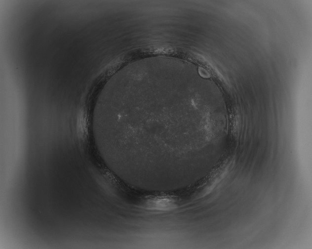 X0000102300643200808011403