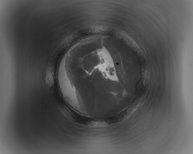 X0000102300644200808011403