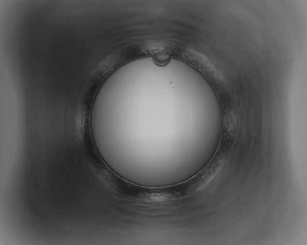 X0000102300645200808011403