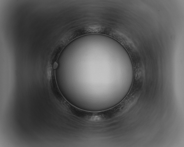 X0000102300647200808011403