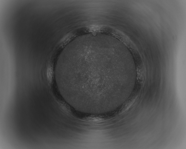 X0000102300648200808011403