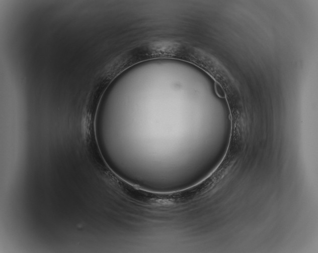 X0000102300649200808011403