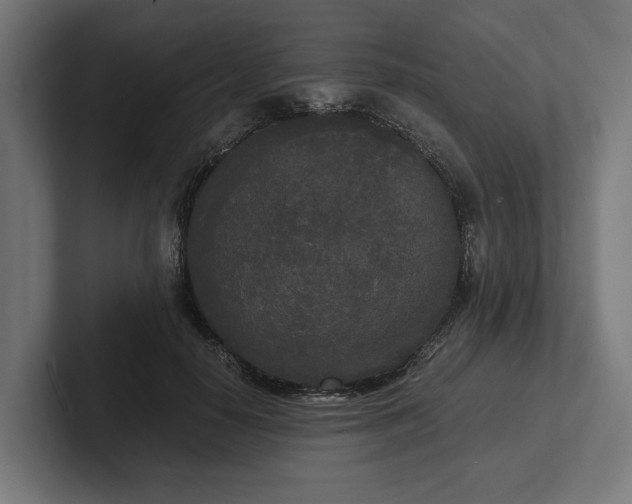 X0000102300650200808011403