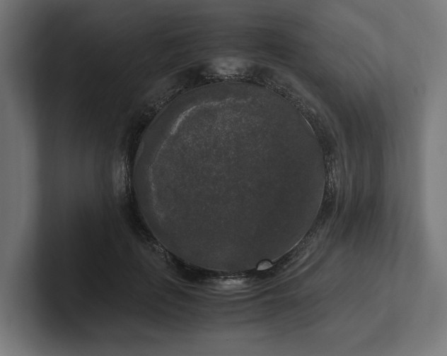 X0000102300651200808011403