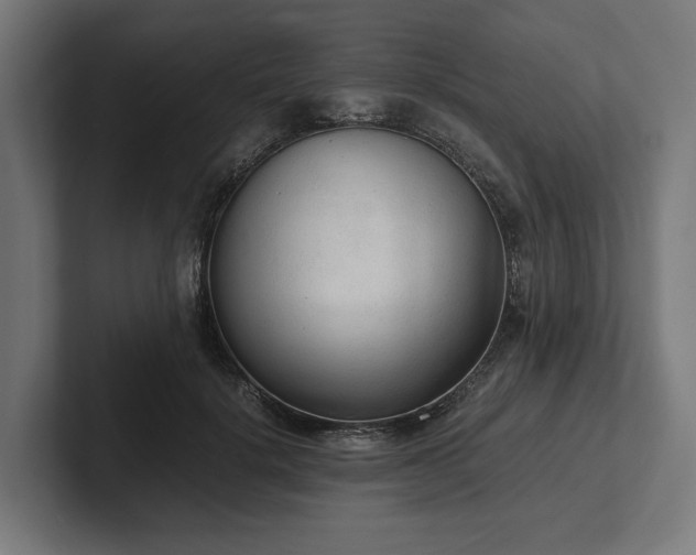 X0000102300652200808011403