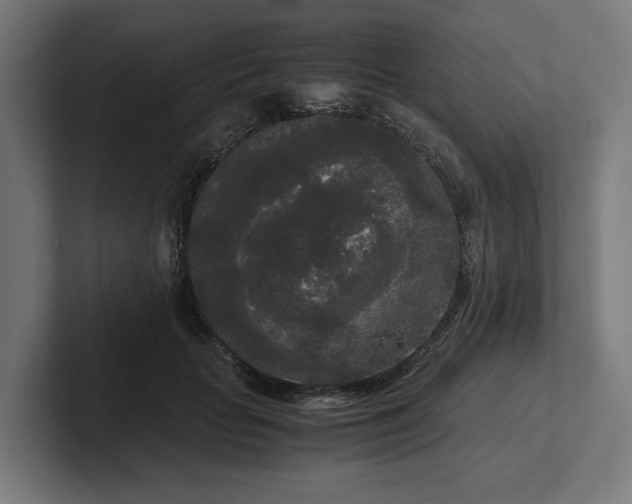 X0000102300653200808011403