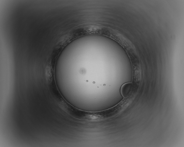 X0000102300654200808011403